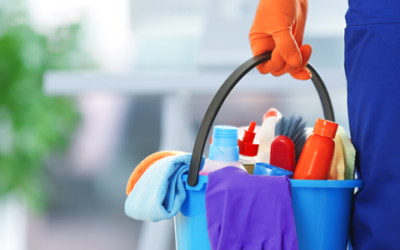 Understanding Your Legal Obligations as an Employer of Domestic Workers